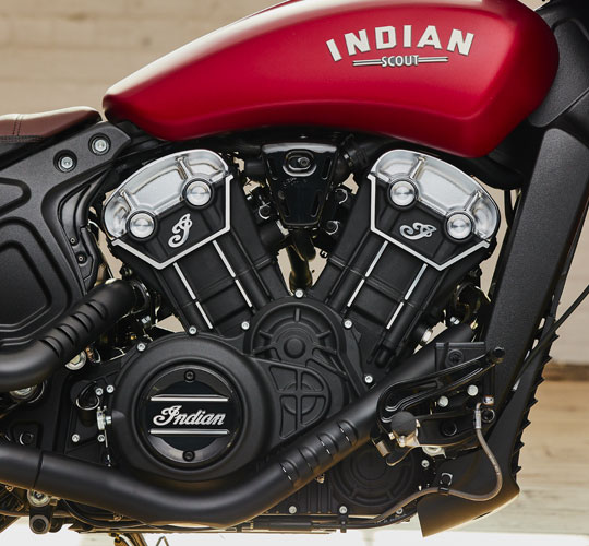 95 CHEVAUX À PEINE APPRIVOISÉS